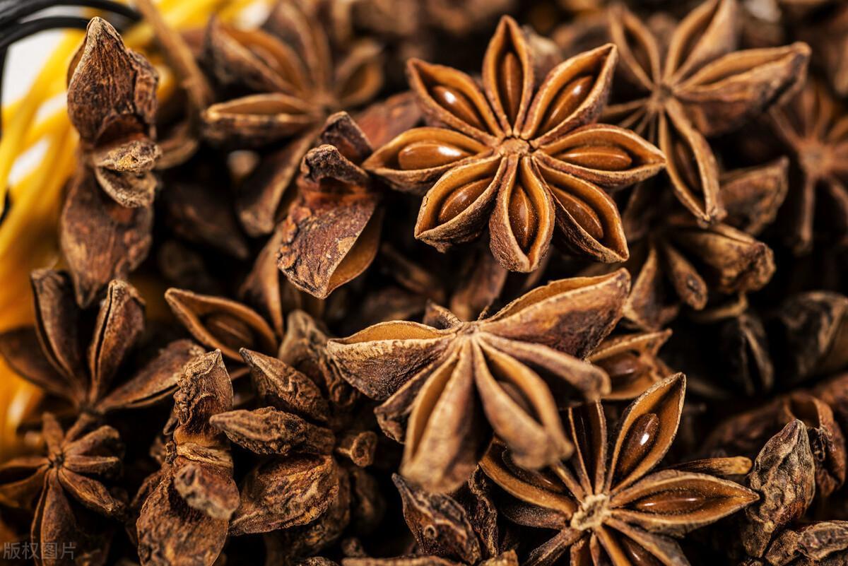 回顾八角还有假货如何区分真八角和假八角