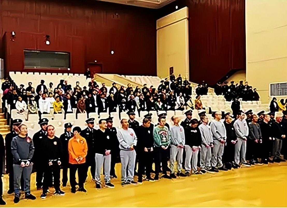 回顾阔太寇静瑶19岁嫁豪门31岁成通缉犯被抓时面带微笑