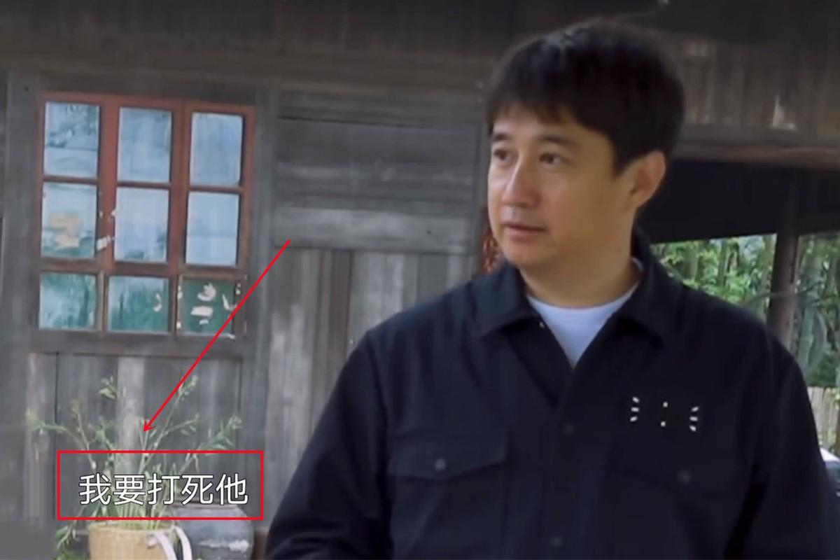 还有两位被眼光"毒辣"的黄磊发掘了,那就是胡先煦和赵今麦.