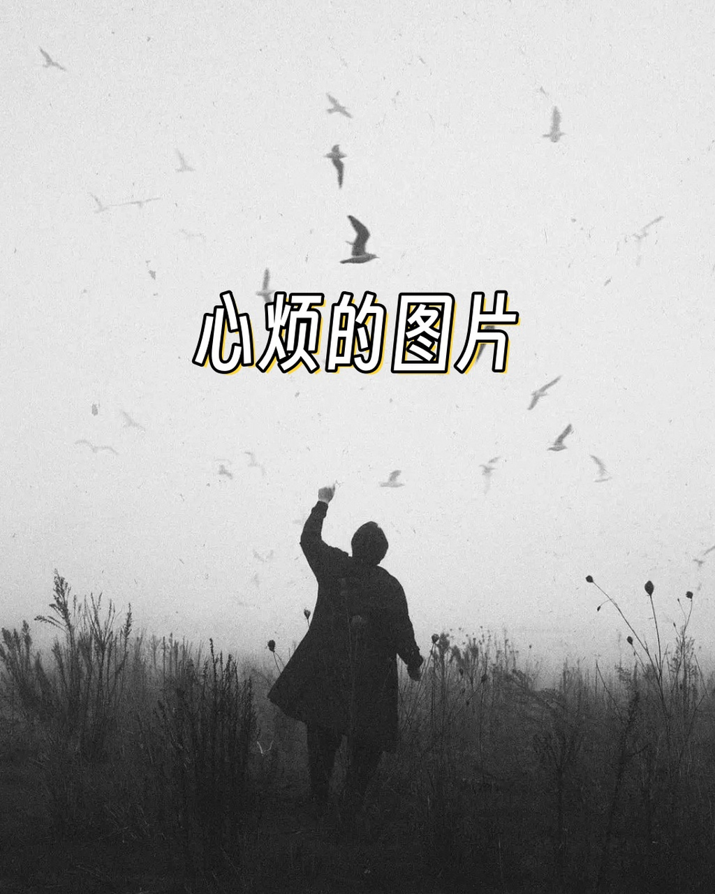那些琐碎的烦恼,如同秋天的落叶,堆积在心头,让人难以释怀.92
