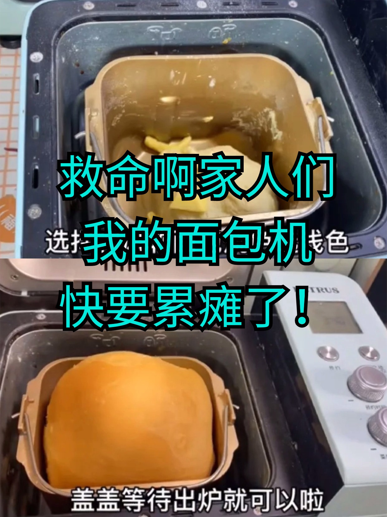 救命啊家人们我的面包机快要累瘫了