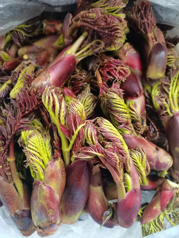 南京的春天被野菜霸占了#南京的七头一脑出了名,加上现在买菜很繁便