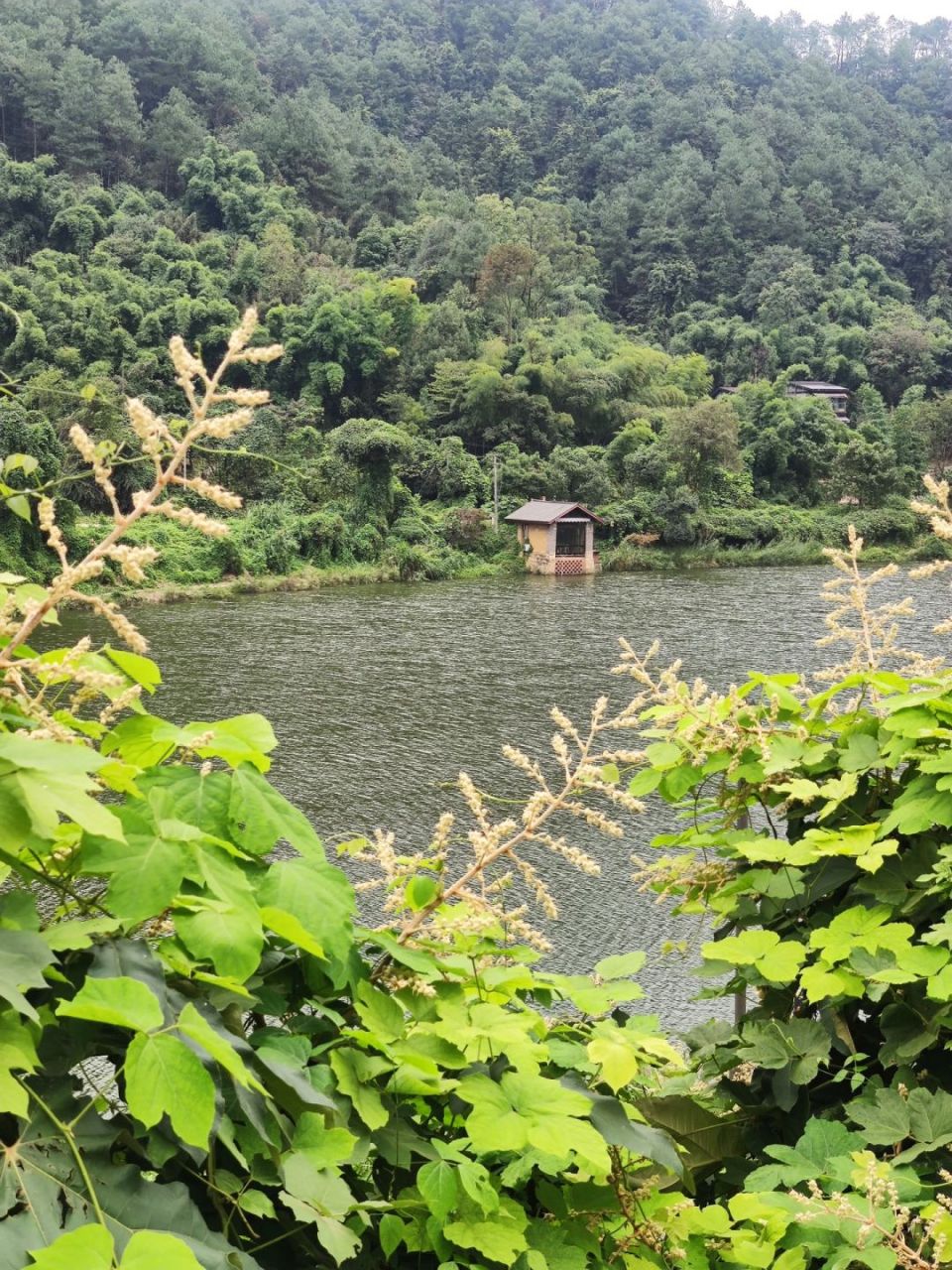 重庆水天池景区图片