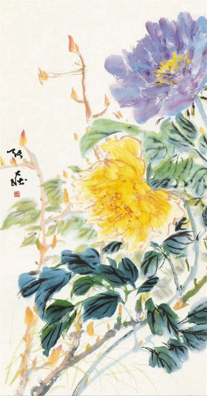 张大壮牡丹国画作品集