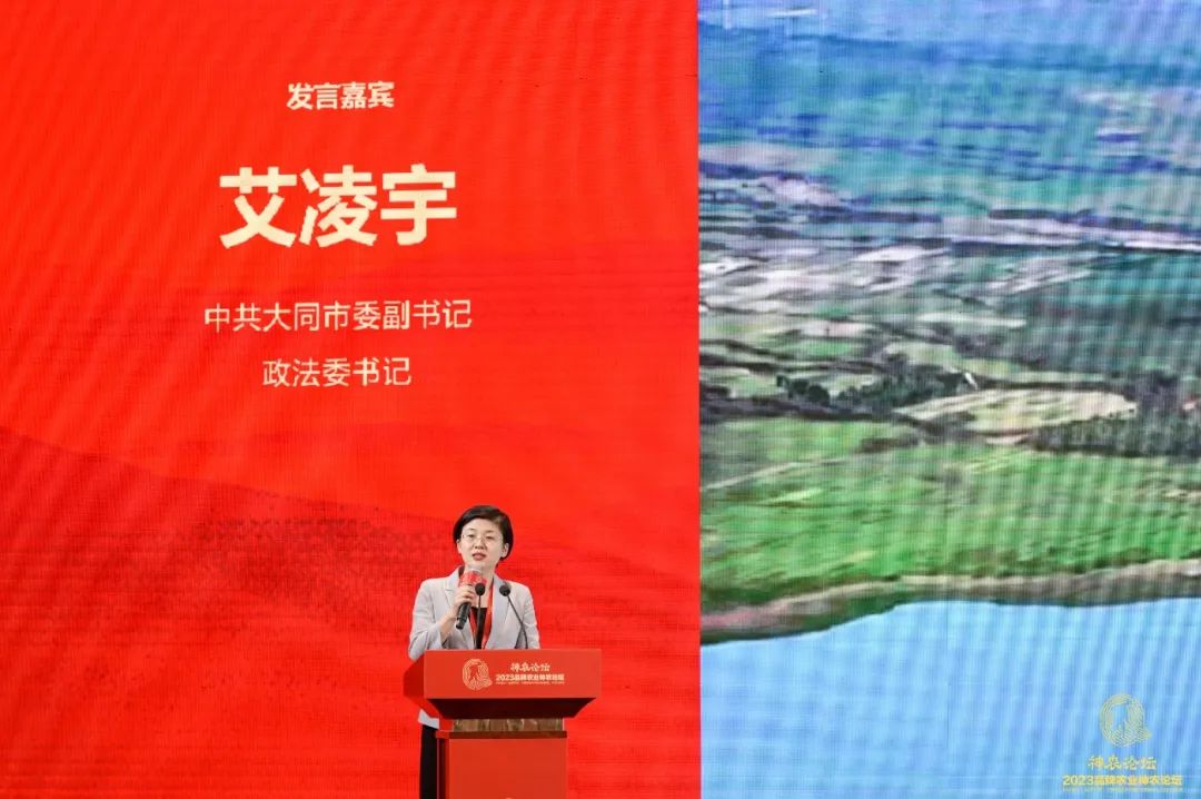 中国品牌农业和乡村振兴领域的达沃斯论坛四届盛况一文观赏