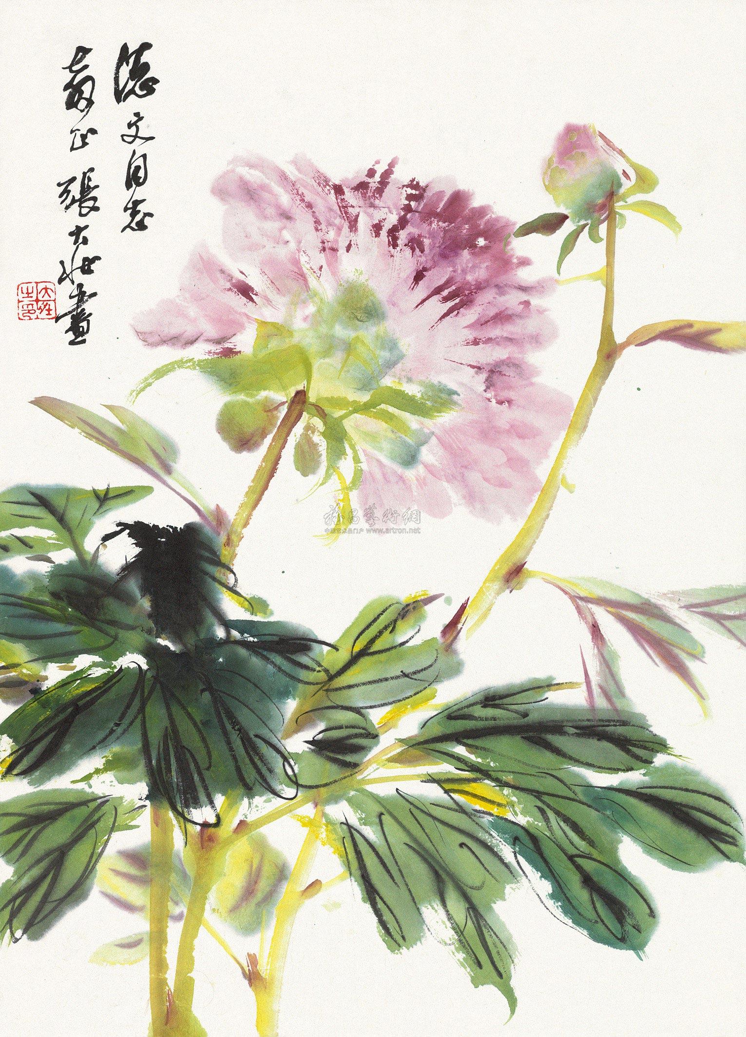 张大壮牡丹国画作品集