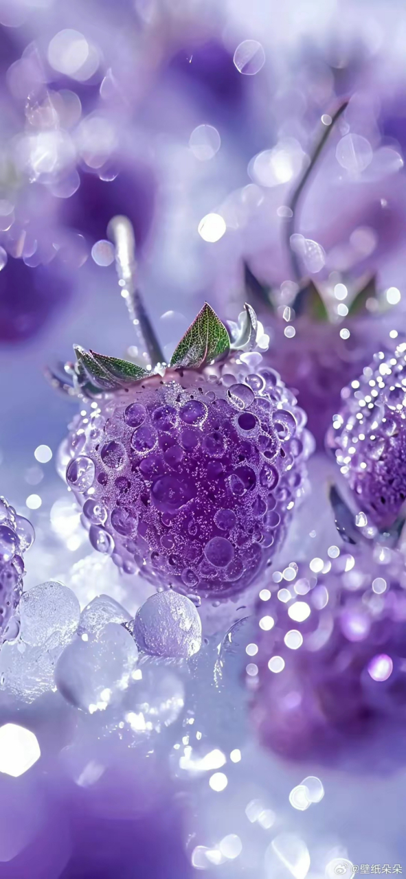 壁纸分享～紫色的草莓,这是发生了变异吧