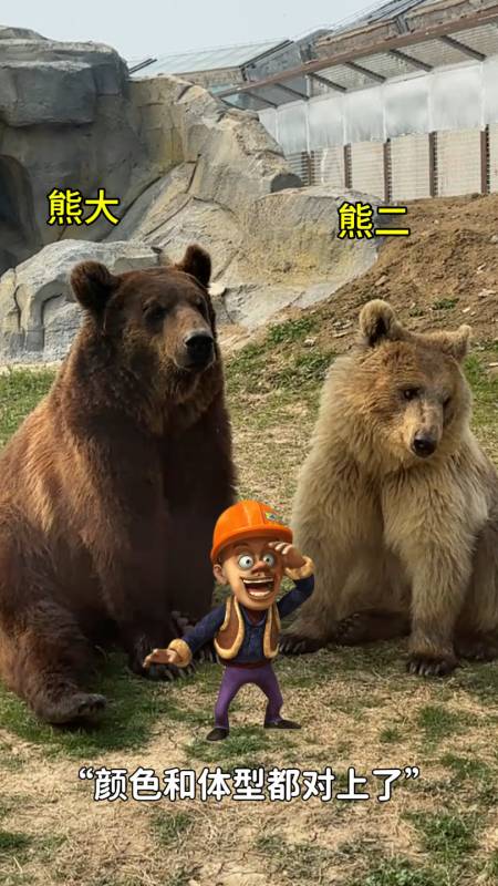 原来熊大熊二现实中真的存在-度小视
