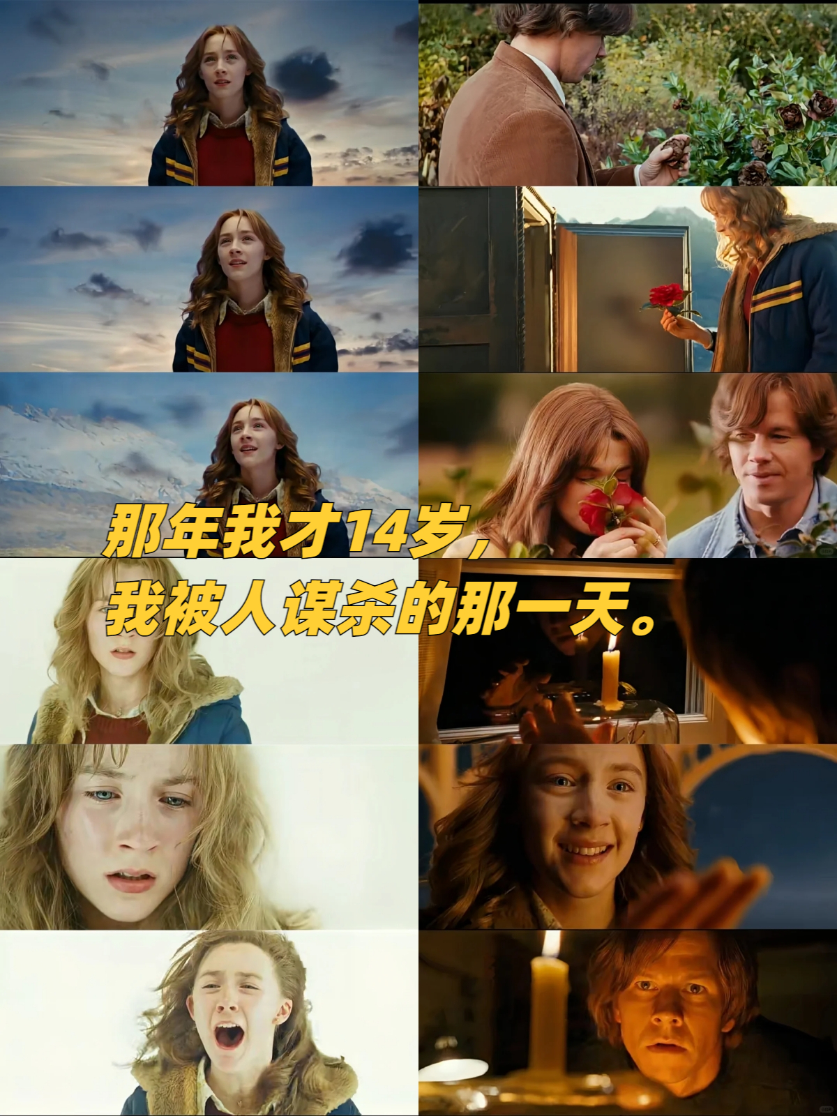 《可爱的骨头》:心碎的记忆与家庭的重生  片名:《可爱的骨头》  首播