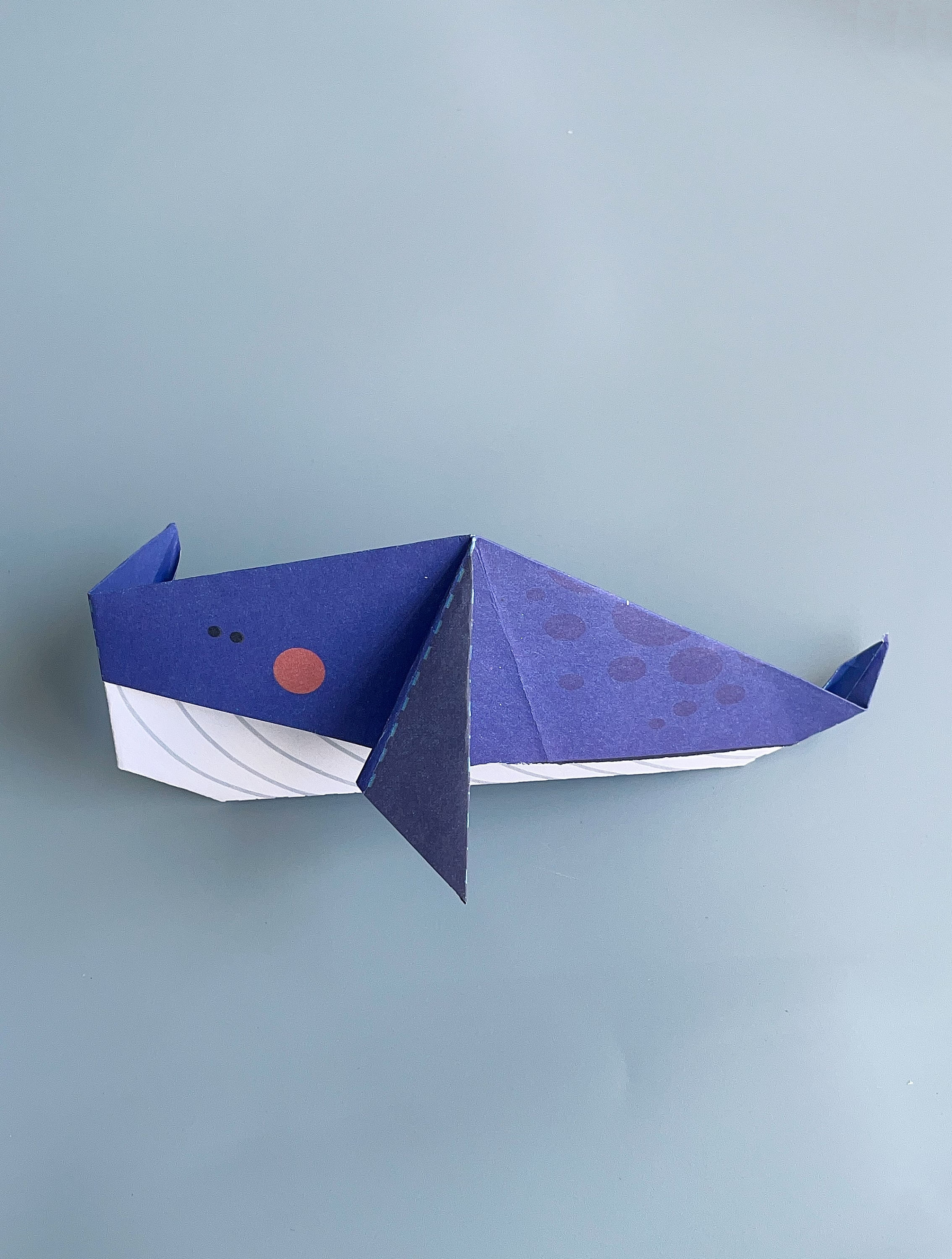 创意手工折纸,一条可爱的鲸鱼