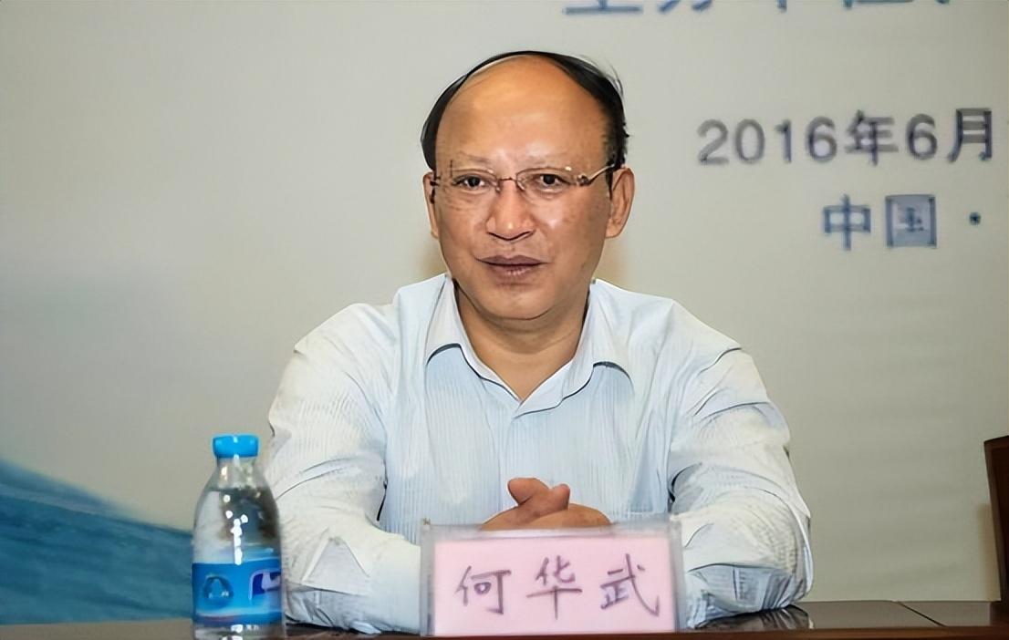 回顾央视主播何岩柯含泪拯救母亲将爱扩散今40岁未婚也幸福