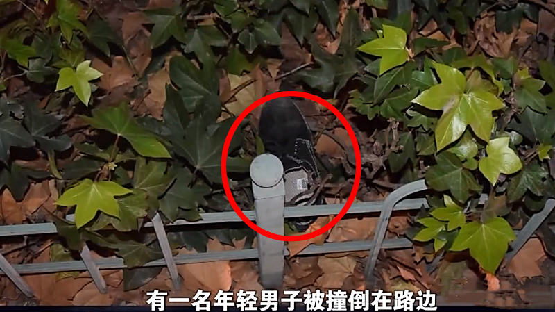 2016年江苏男子被撞身亡警方追查肇事逃逸者竟是11岁小学生