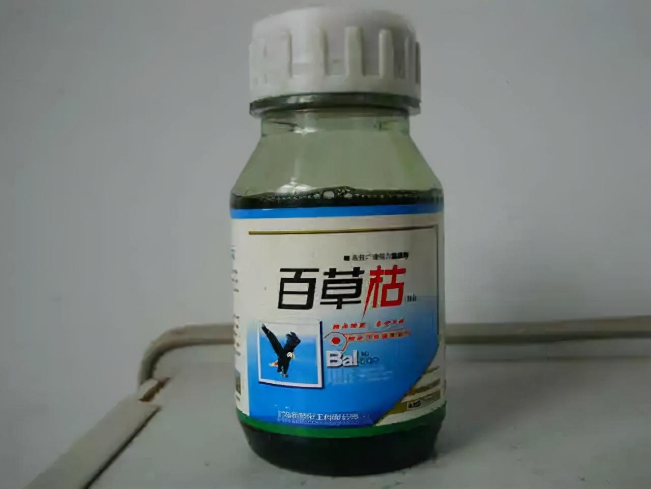 2016年,江苏一男子怀疑妻子外遇,将妻子内裤浸泡百草枯致其身亡