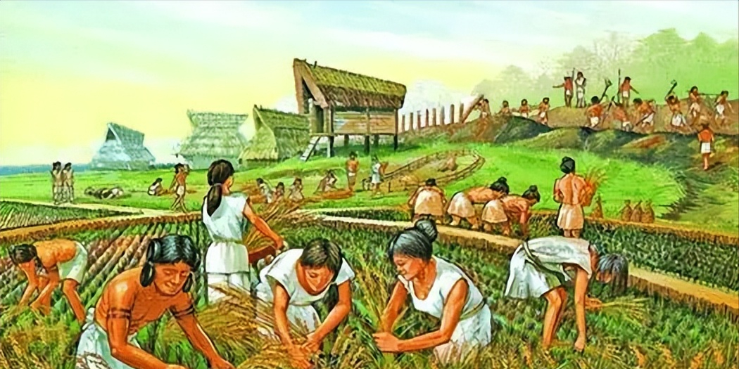 同样是小麦为什么西方发明的是面包而中国发明的是馒头