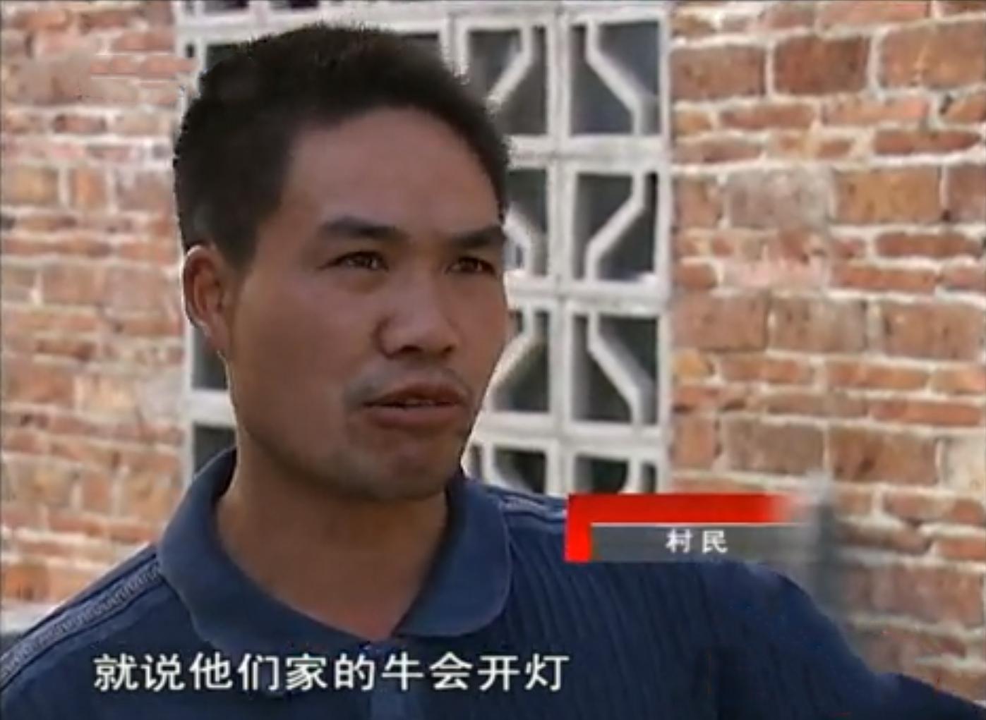 2000年广西农民养了一头水牛10年后成神牛有人出8万都不卖