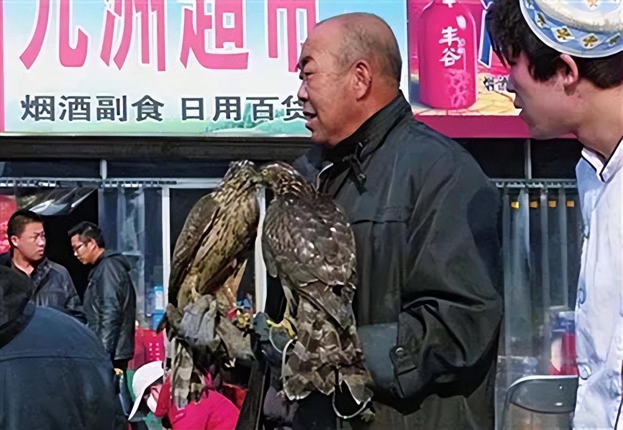 因为年龄太小,还没熟练掌握狩猎技能,才会掉落在闫大哥家的菜地里.