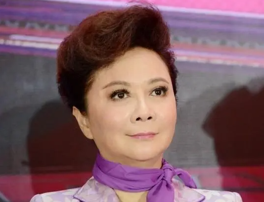 蔡明刚开始给丁丁介绍了一个高级白领.