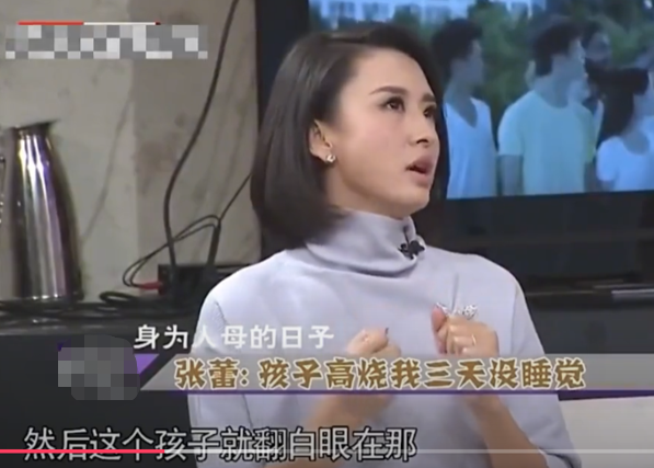 回顾张蕾我没有嫁给杨帆丈夫只是个普通商人直言对儿子有愧