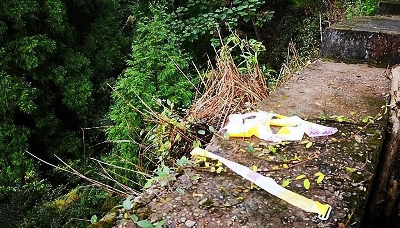 2018年浙江女孩乘车遇害生命最后一刻曾呼救1年后司机执死刑