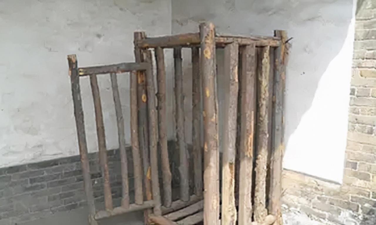 回顾河南母亲笼中养儿45年不离弃坚持喂养如今怎样了