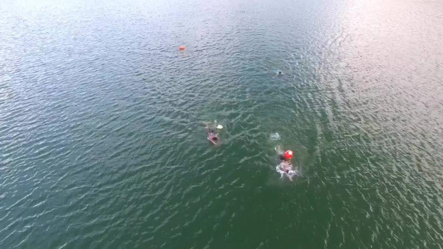 2016年男孩遭疯狗追撵溺亡水库,狗主人连夜杀狗避责,结果如何?