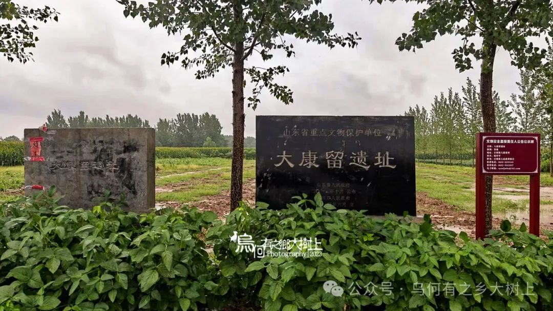 滕州市大康留遗址:地处古薛国腹地,遗存丰富