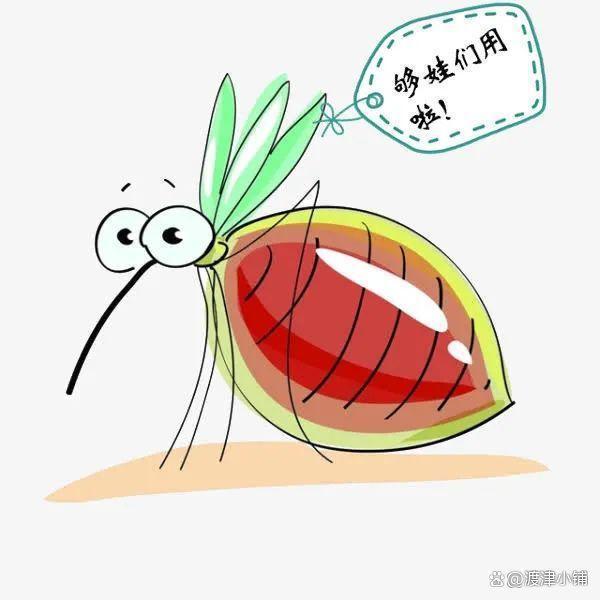 九成人不知蚊子的克星是啥简单1招开窗也能睡安稳觉