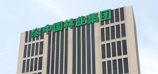 央企大揭秘——中国林业集团