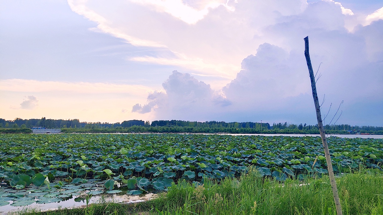 探索菏泽,畅游古韵之都:这些必去景点,你去过几个?
