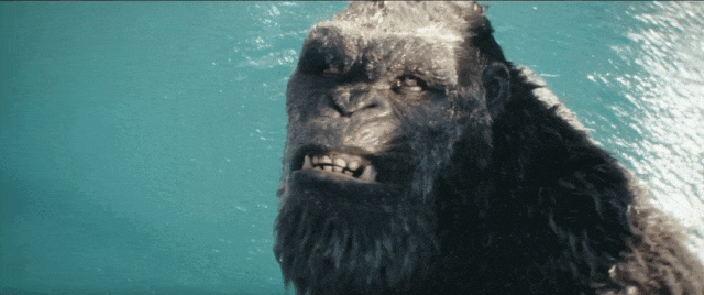 全片115分钟怪兽宇宙四大顶流聚集各种打戏看到过瘾