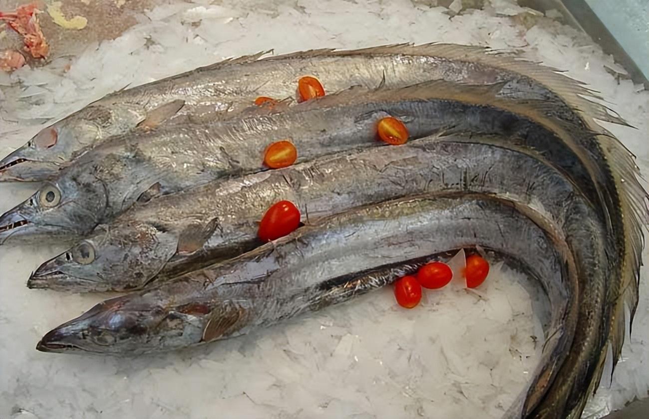 买带鱼记得分清黑眼睛和黄眼睛区别不小弄懂再花钱