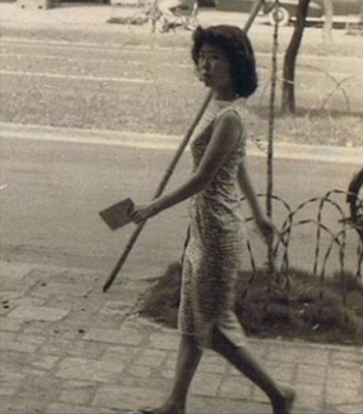 费翔的妈妈叫毕丽娜,爸爸叫费伟德.两人的相遇来自一张照片.