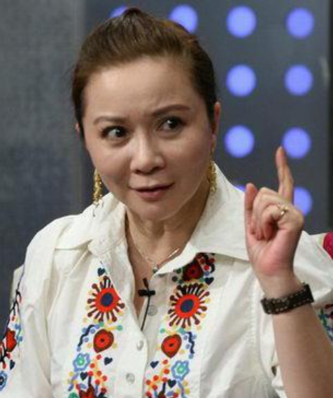 回顾蔡明儿子丁丁36岁仍未婚无子女是蔡明的骄傲也是她的心病