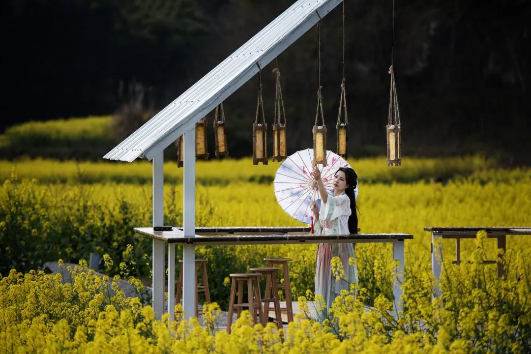 2024西充"一乡一节"暨莲池镇第一届花朝季正式启动!