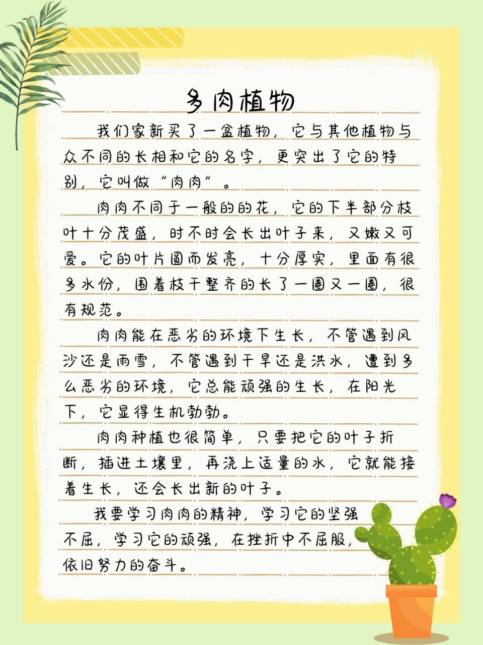 我喜欢的植物作文300字图片