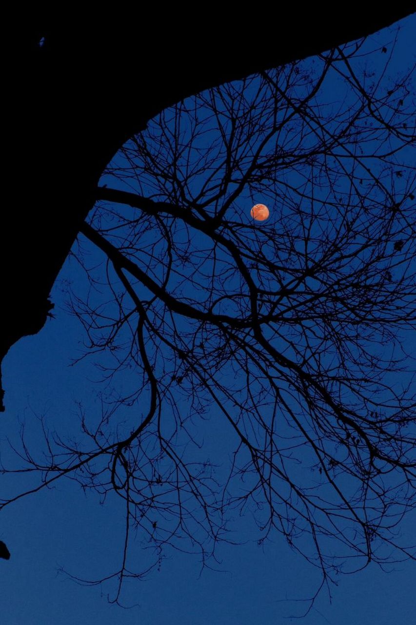 夜晚图片  93 夜色渐浓,月亮悄然升起,洒下银白色的光芒.