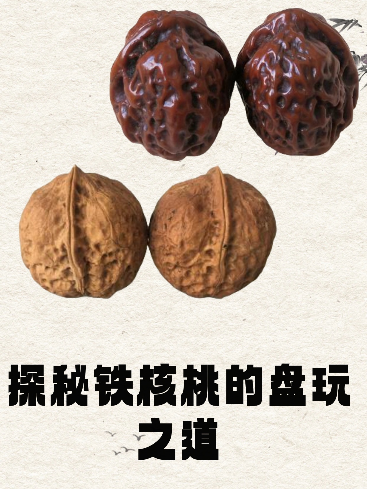 新入手的铁核桃首先要进行清洗与初步处理