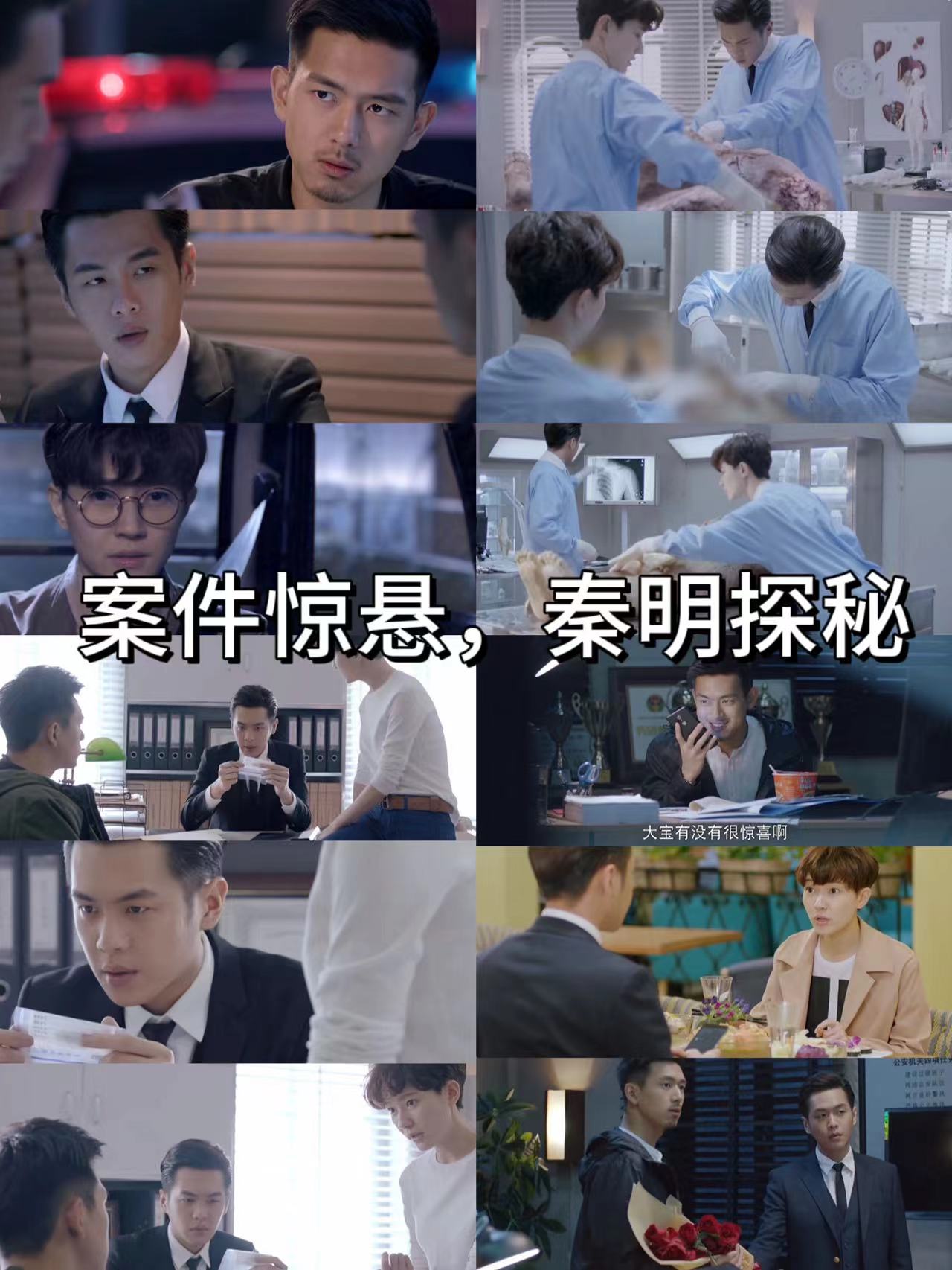 《法医秦明》,带你探索真相的世界!