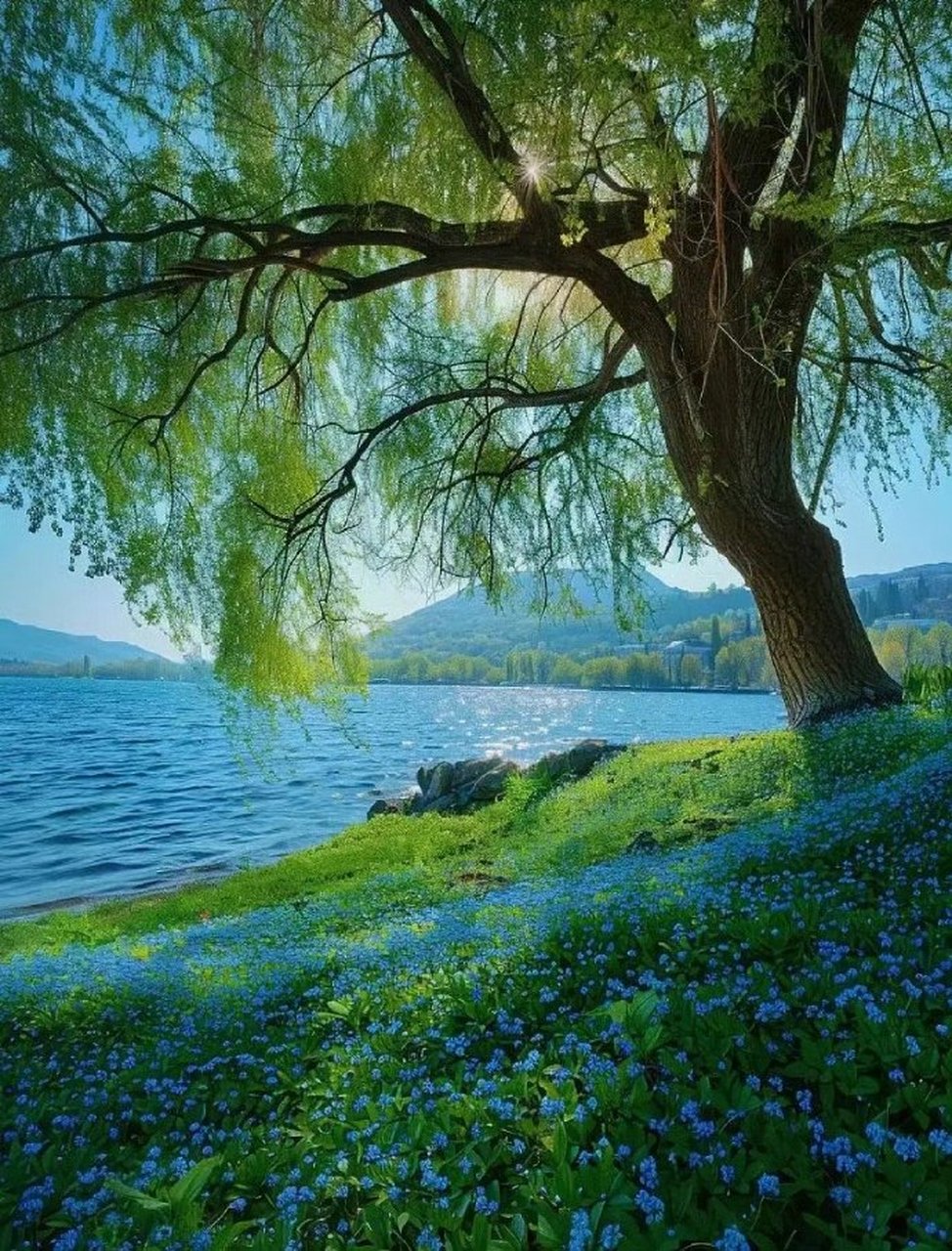 漫步人生路,你会发现,世间的人情冷暖,悲欢离合,如同一本厚重的书,每