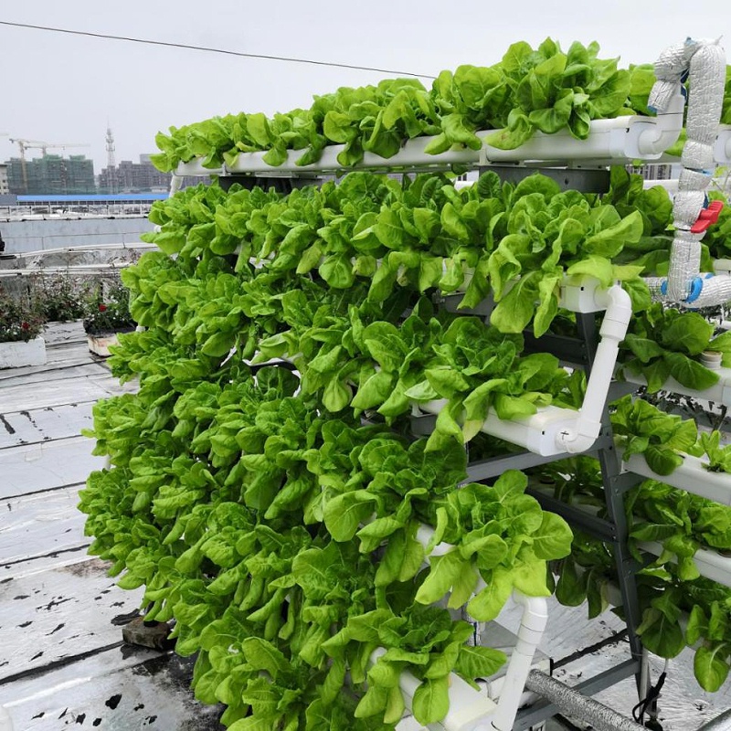 农业科技植物工厂无土栽培催芽育苗