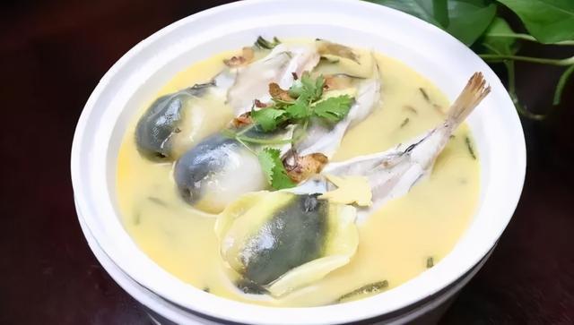 当美食遇上生命危机:探讨"拼死吃河豚"