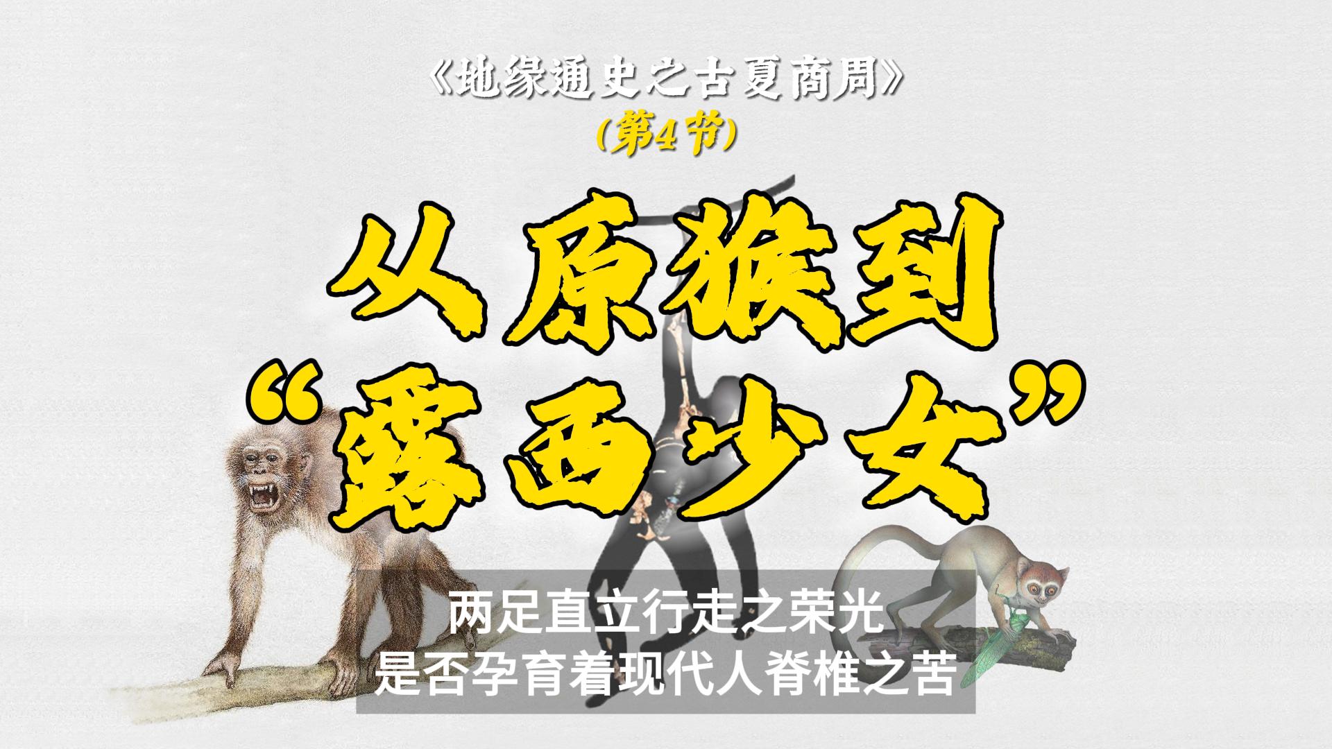 Ⅰ-4.从"原猴"到"露西少女","黑科技"揭开古猿演化之谜