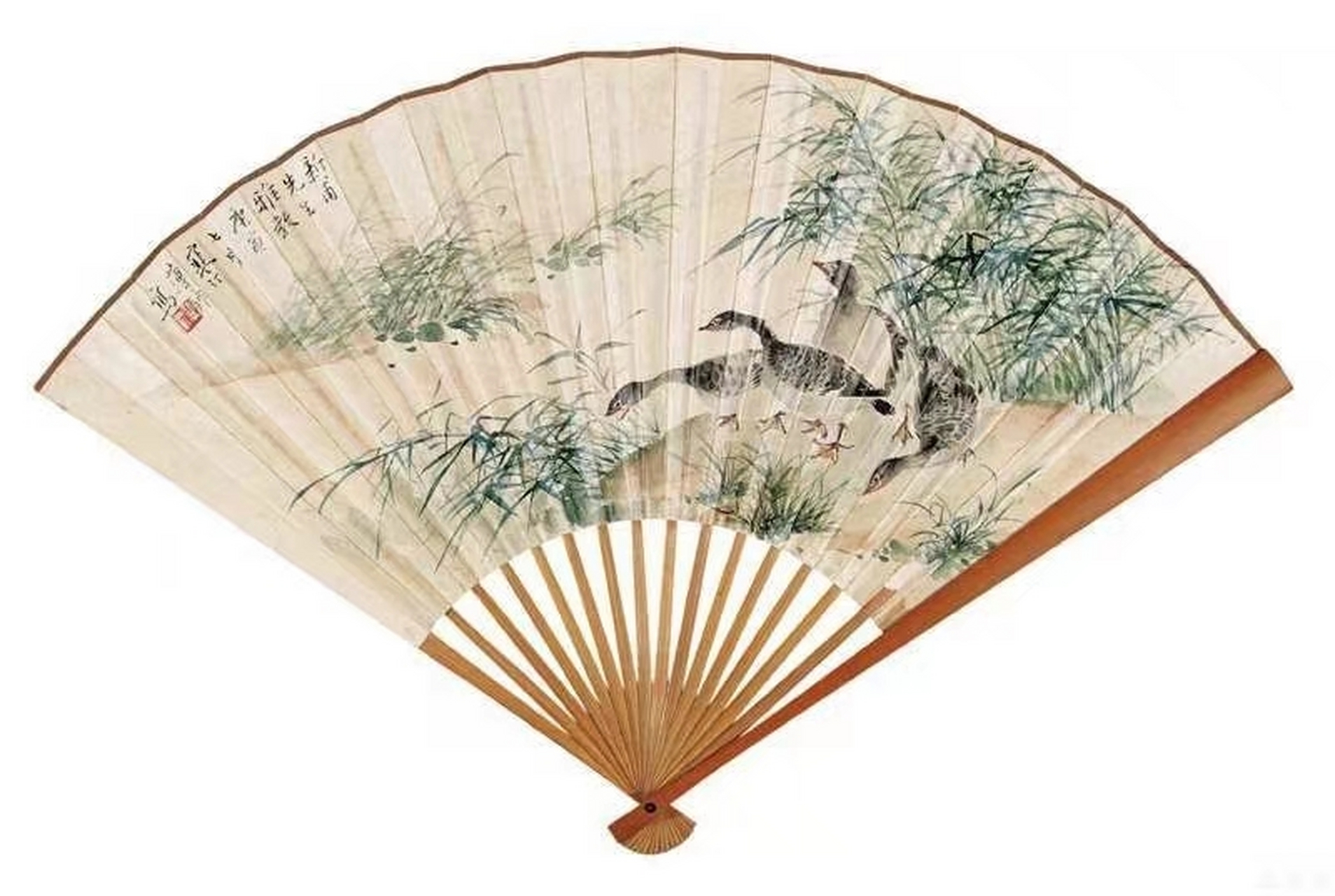江寒汀花鸟欣赏,生动传神,别有韵味,最需要的是,算是扇面画,你肯定没