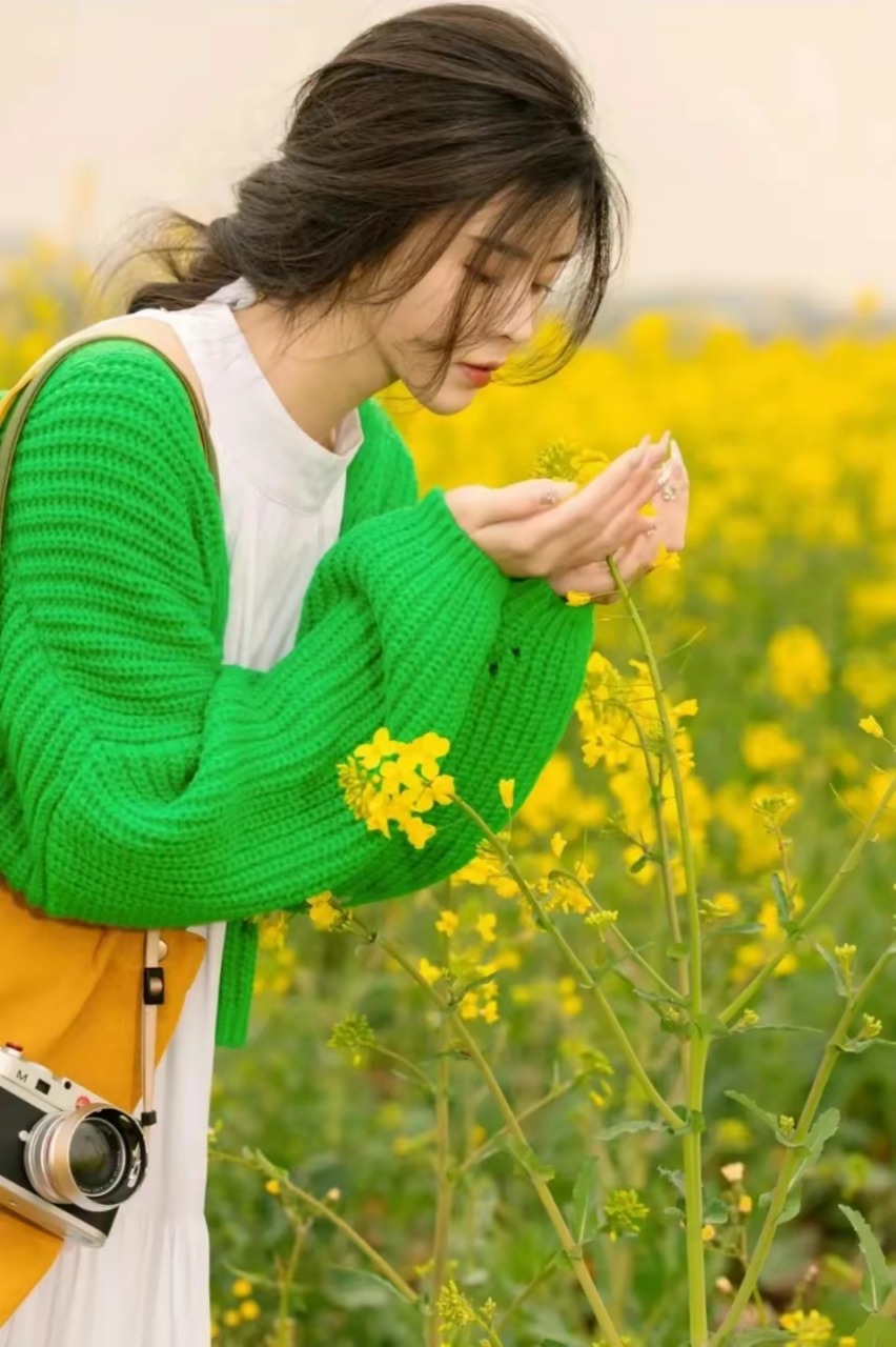 油菜花烂漫盛开 趁阳光明媚 赴一场春天的约会