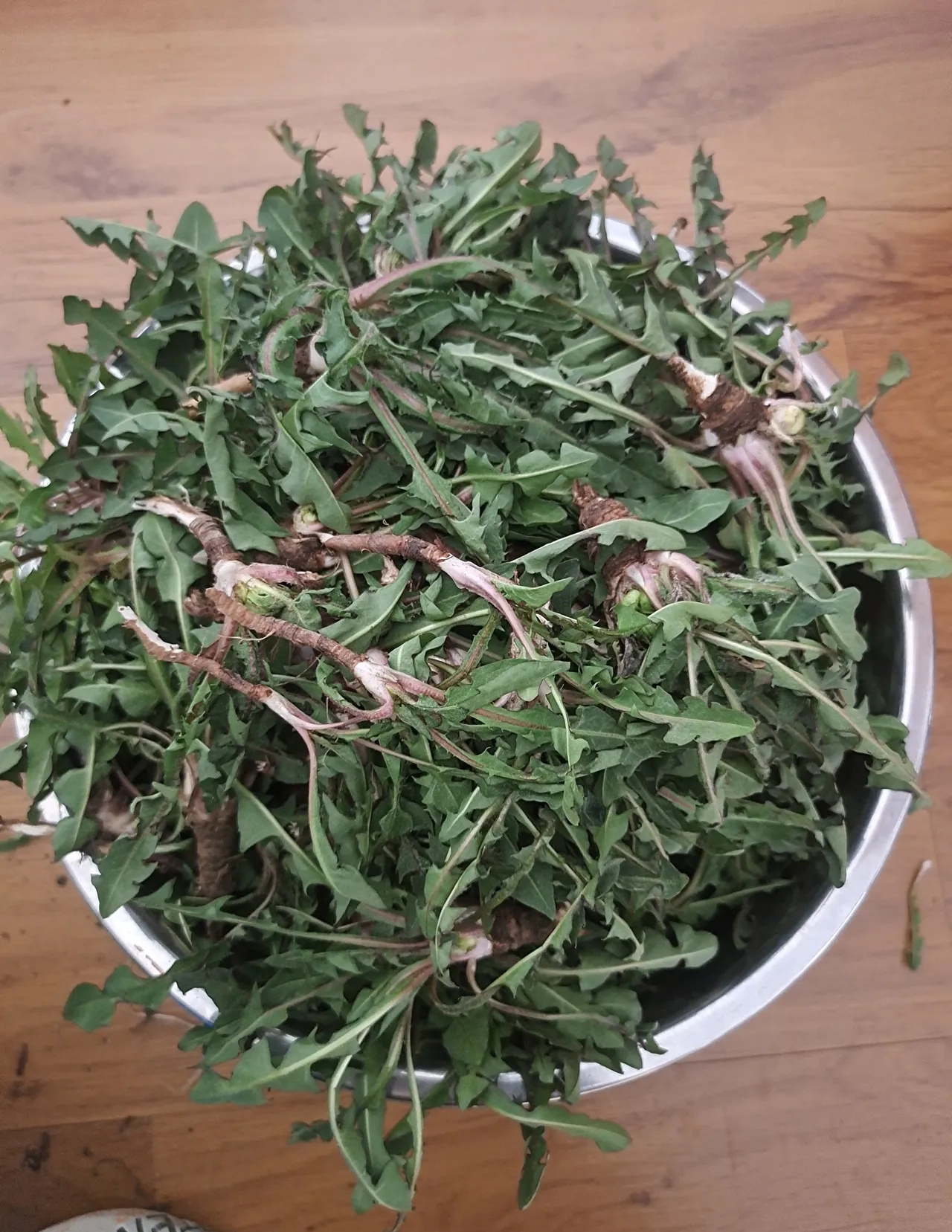 一年一度的挖野菜到了今天和邻蜜们去河边挖一些野菜本打算去挖