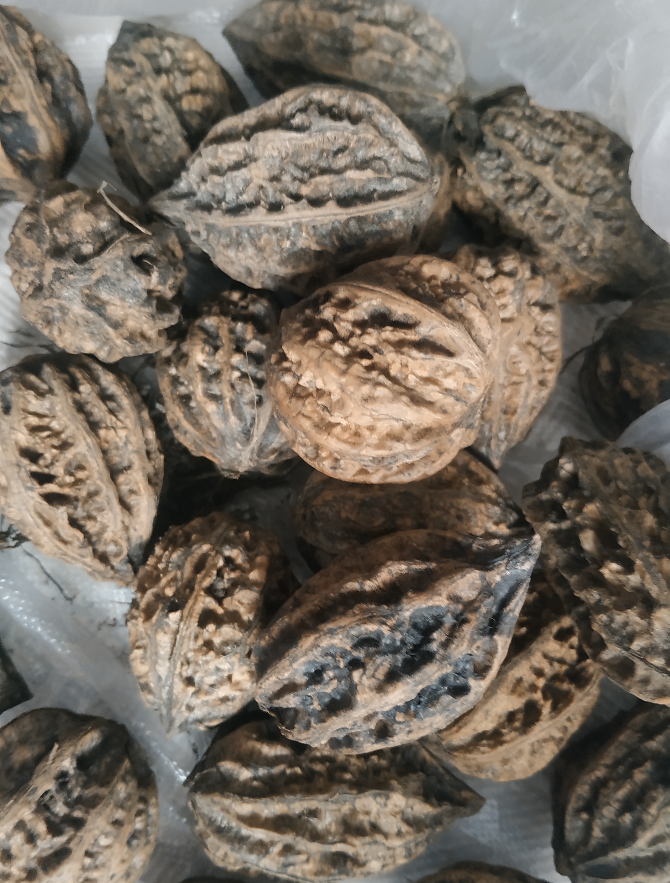 吃了它感觉脑袋比以前记忆力强多了,都说核桃仁补脑,看来是真的了!