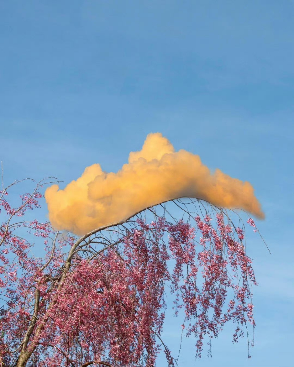 微信朋友圈背景图天空图片