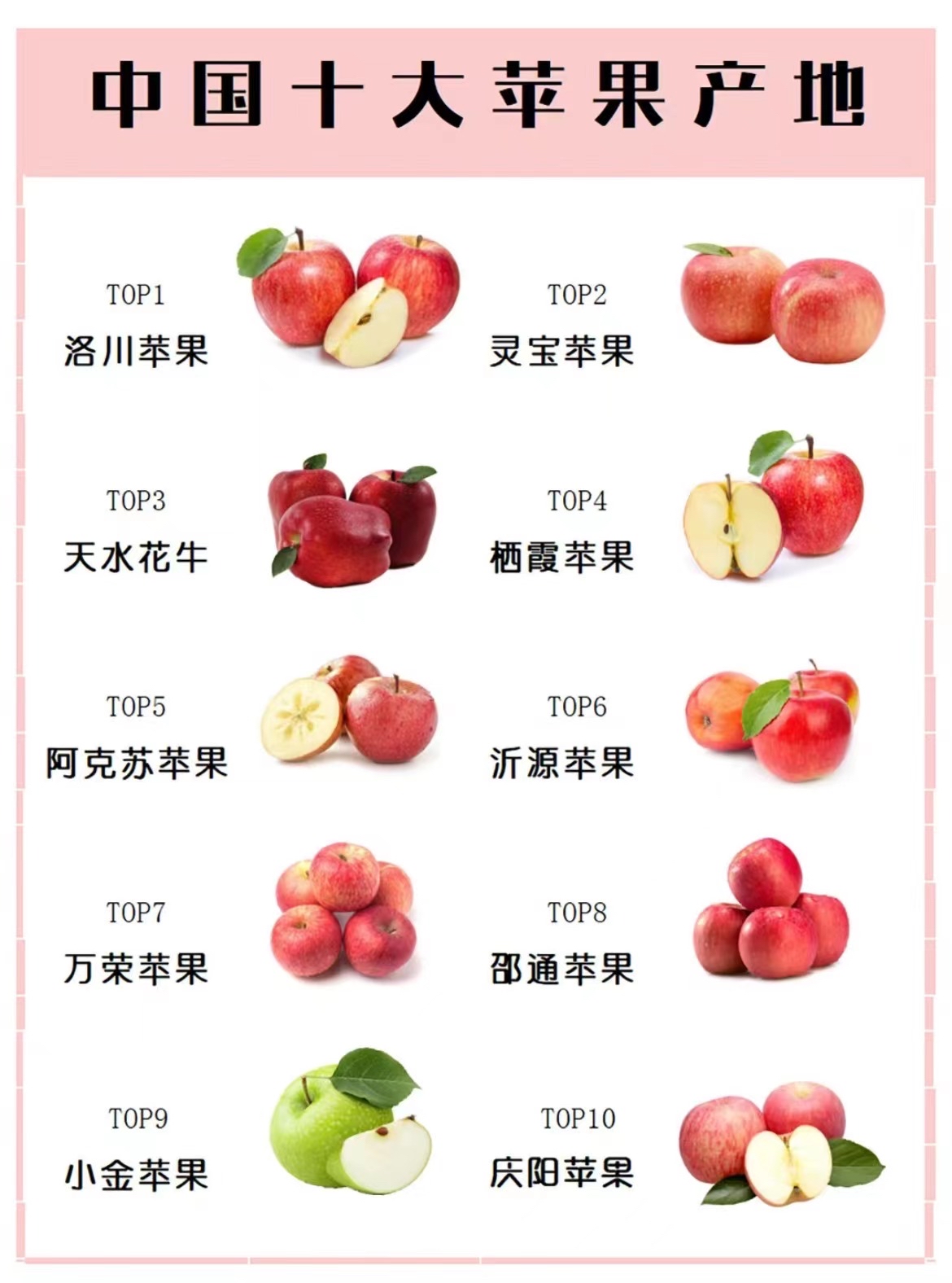 做苹果批发有多少利润