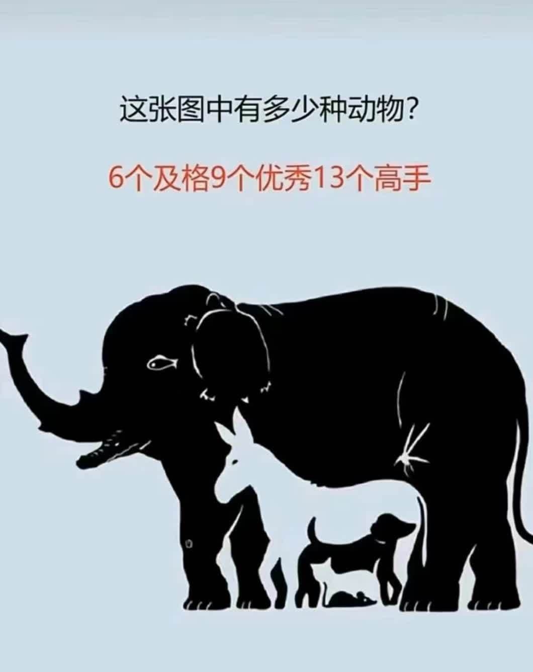 找一找,这张图中有多少个动物?找到13个是高手哦,快来试试吧.
