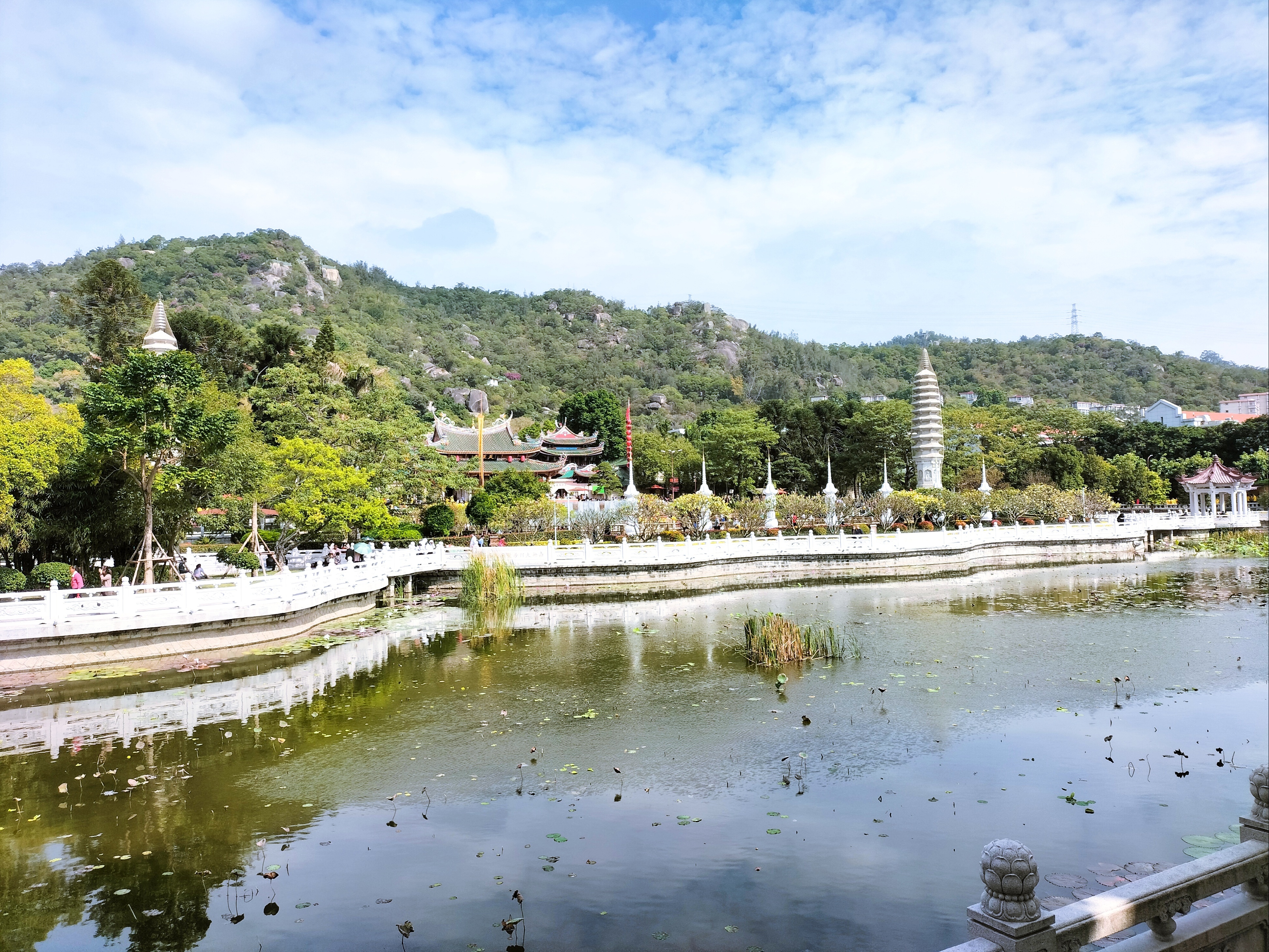 南普陀寺放生池图片